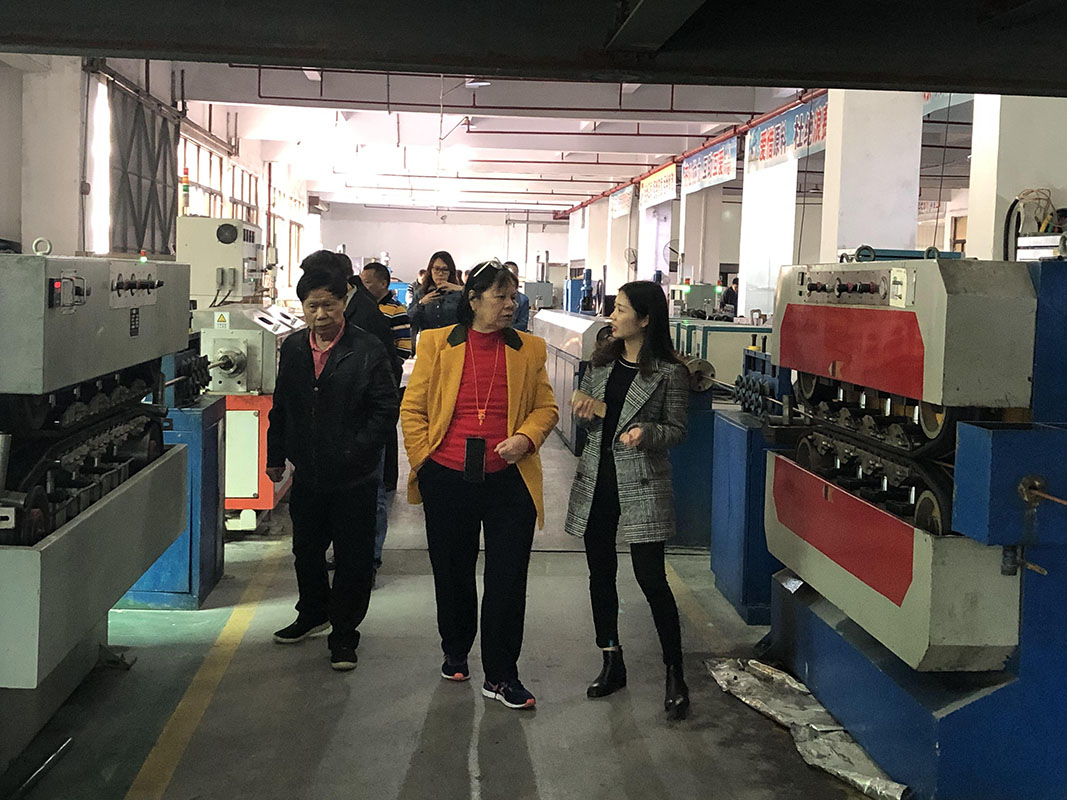 廣東電纜企業(yè)集團(tuán)有限公司蒞臨